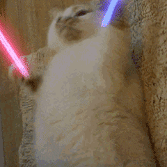 4c24ec2244b24d86969c7013cfa5831b.gif