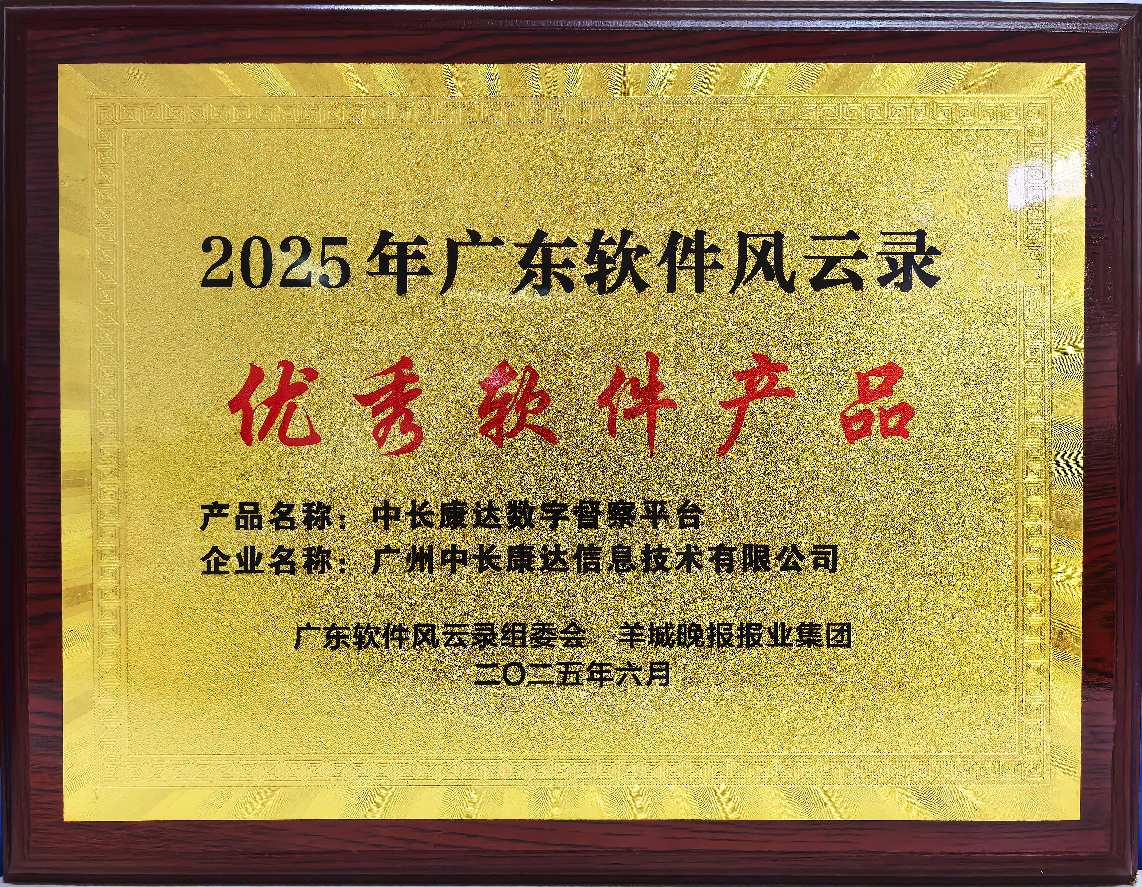 2025-优秀软件产品（数字督察平台）_副本.jpg